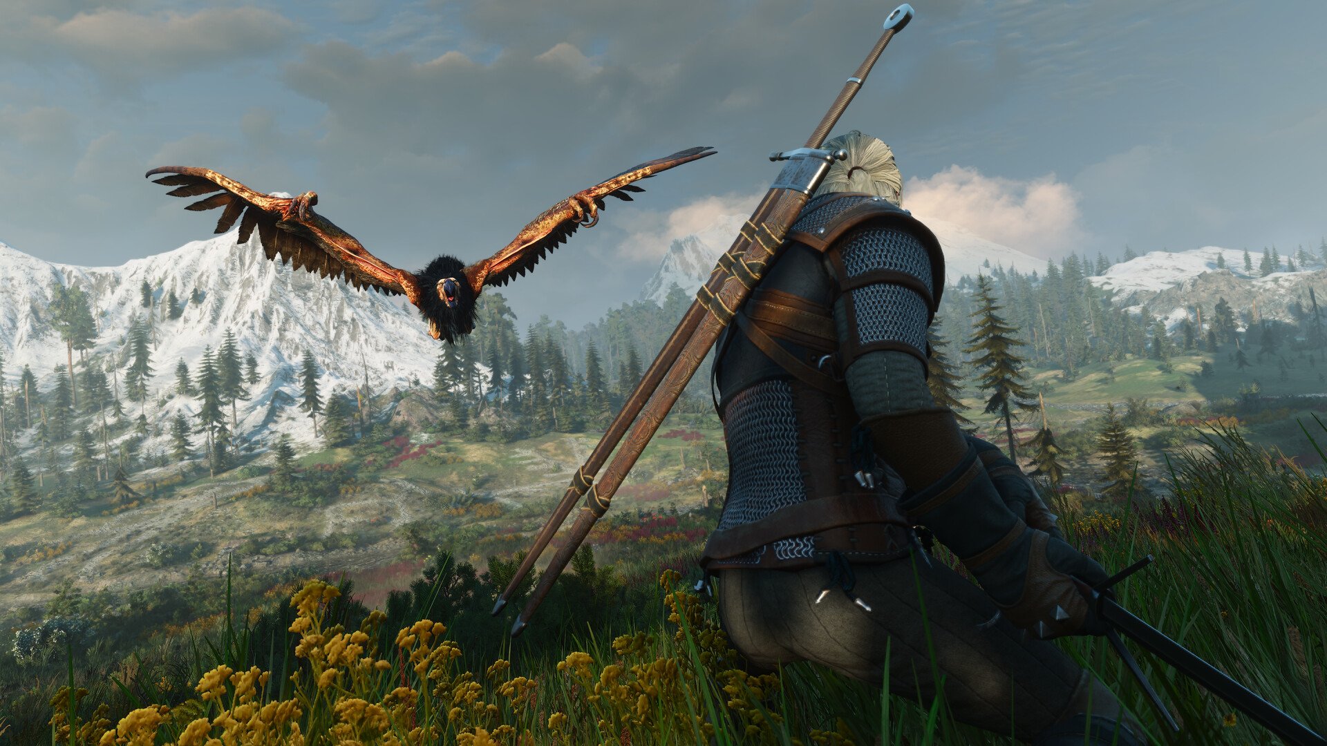 The Witcher 3: Wild Hunt 1